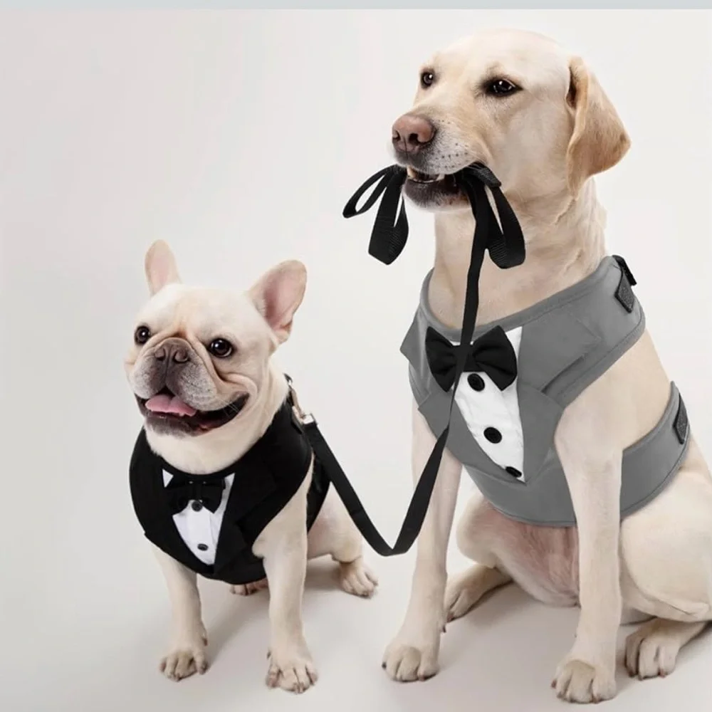 Gray Tuxedo Dog Harness. Adjustable and‎ No Pull.Wedding Suit or Costume